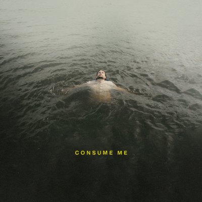 Austin Ludwig - Consume Me