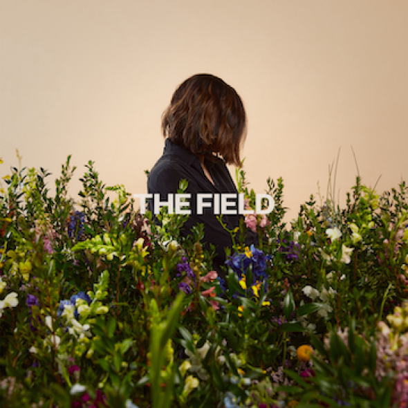 Kristene DiMarco - 'The Field'