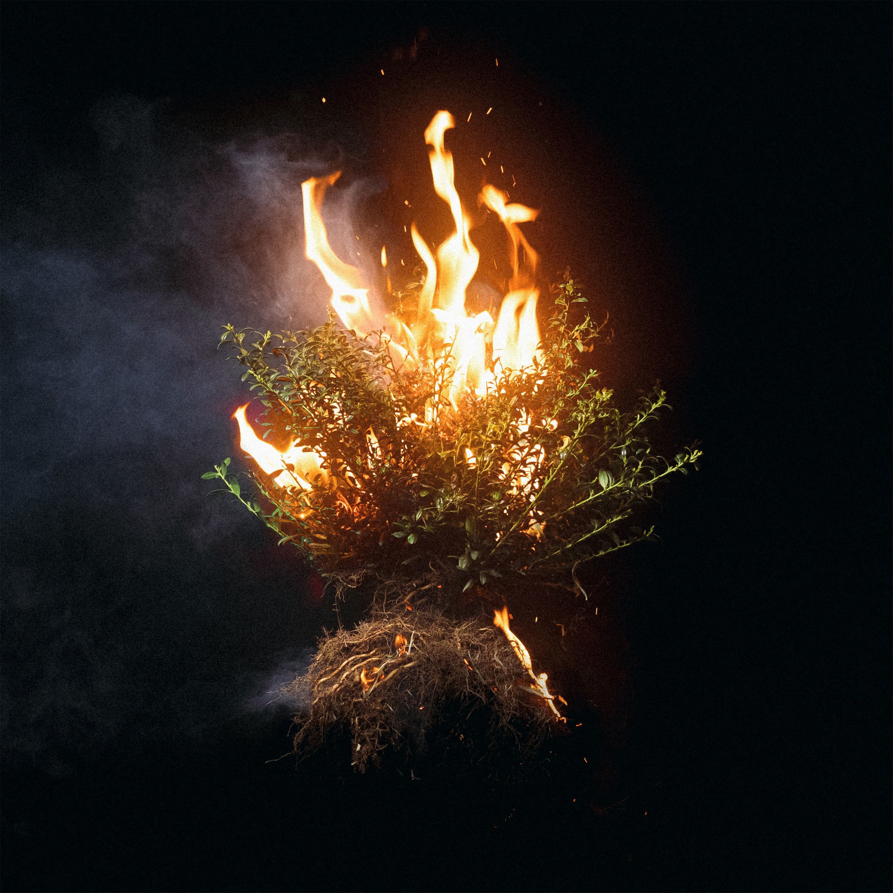 Music News | "Can You Imagine," the new album from Elevation Worship, is out n - Vimarsana News